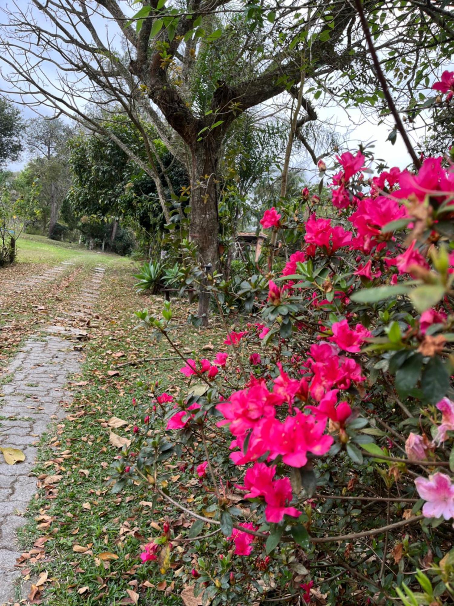 Espaco Benviver Guaratinguetá Buitenkant foto
